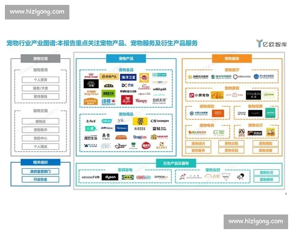 体育竞技数据深度解析与运动员表现趋势全面研究
